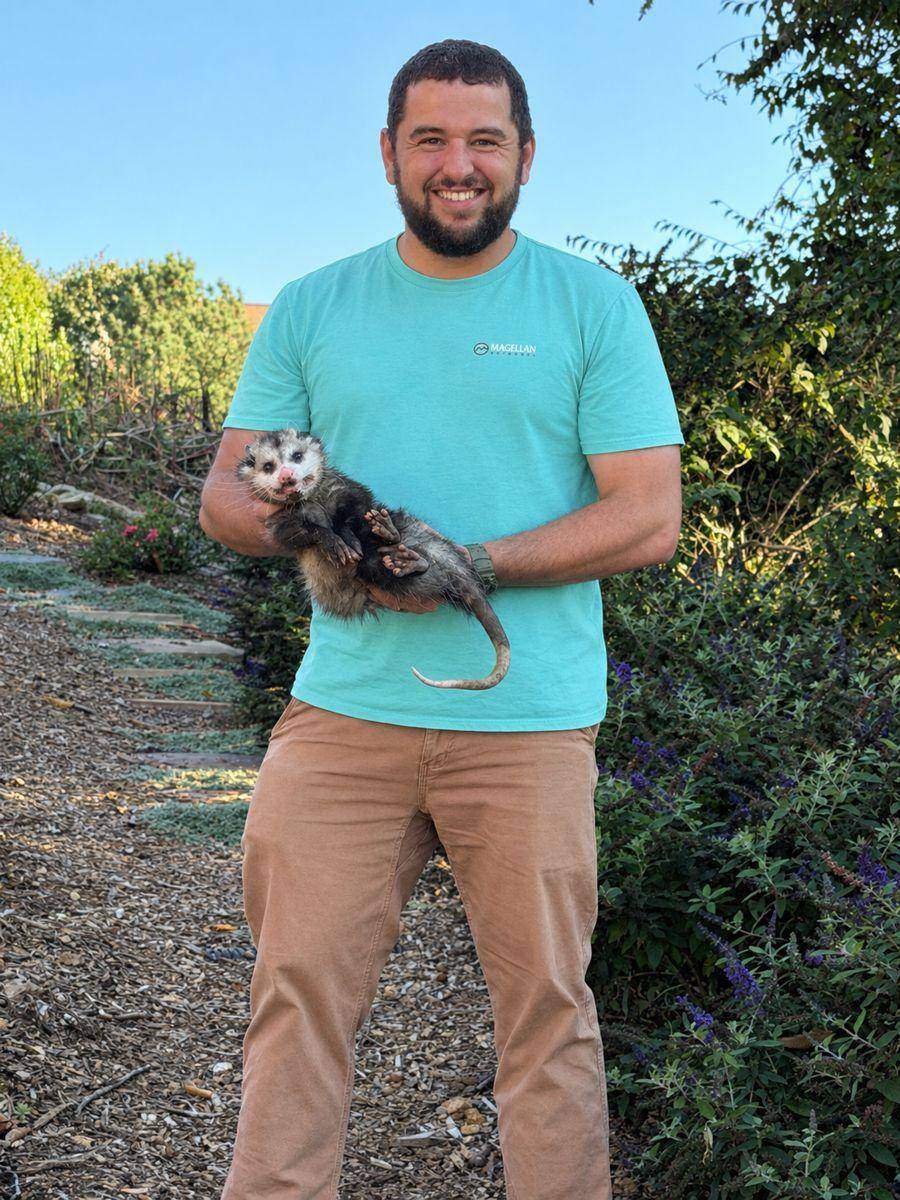 Carl Patterson of Carolina Precision Wildlife Control holding an opossum in Hickory NC